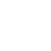 icons-white_wordpress